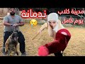 شتغلت مدربة كلاب يوم كامل ام سيف شتغلت مدربة كلاب يوم كامل ام سيف