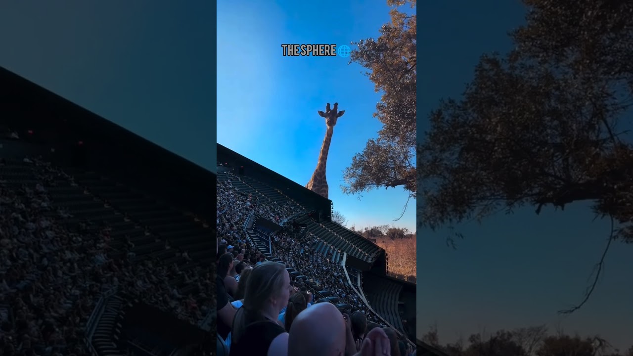 Watch Nature Comes Alive at the Las Vegas Sphere 🦁🌎😍 Ultra Realistic Experience on YouTube Watch Nature Comes Alive at the Las Vegas Sphere 🦁🌎😍 Ultra Realistic Experience on YouTube