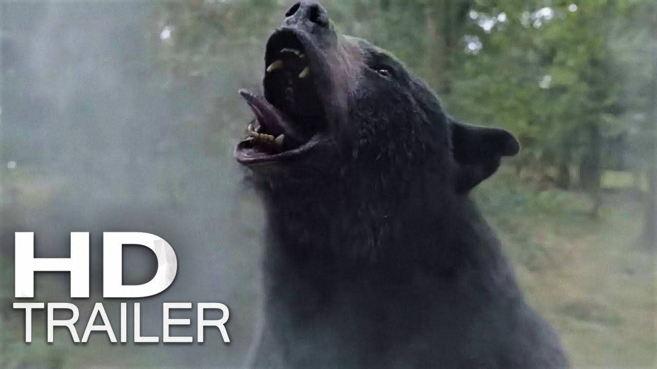 Filme sobre urso que ingere cocaína e vira assassino é baseado em