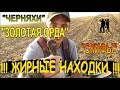 "ЖИРНЫЕ НАХОДКИ" КОП Скифы, Золотая Орда, Черняхи! Кладоискатели - Украина! Коп 2019.