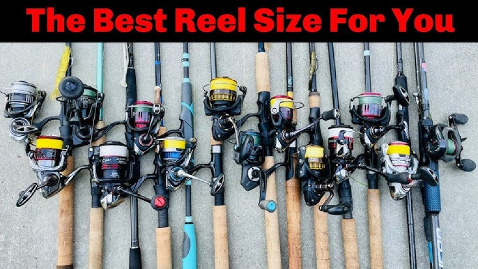 How to choose a spinning reel size (which one is best) 