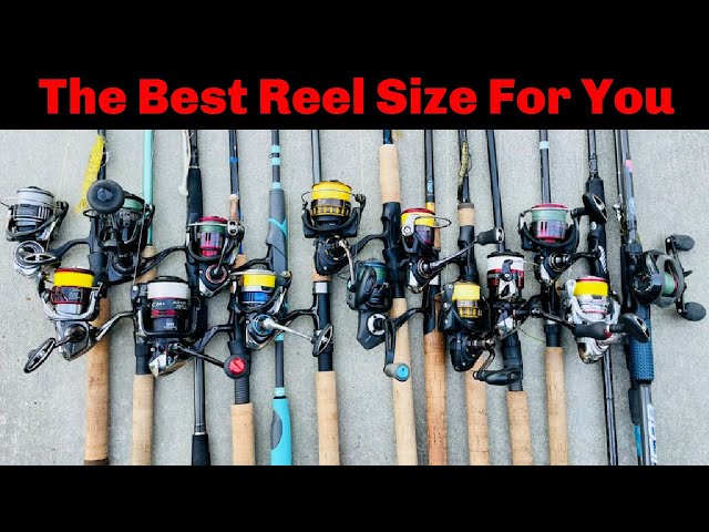 What Spinning Reel Size is Best for Bass Fishing?