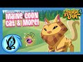 What's New in Animal Jam? | April Update