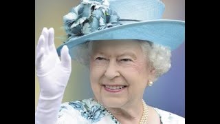 Queen Elizabeth II by Irish Setters UK & Ireland 331 views 1 year ago 1 minute, 8 seconds