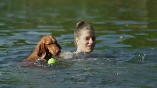 NO ADS - 8 Hours TV for Dogs 🐶 Playful Corgis in Tropical Fun