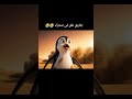 بطريق علق في صحراء Penguins Penguin Veo3 Memes قرود Funny Ai Cartoon Monkeys Comedy بطريق علق في صحراء Penguins Penguin Veo3 Memes قرود Funny Ai Cartoon Monkeys Comedy