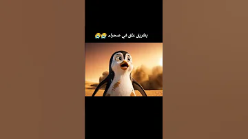 بطريق علق في صحراء Penguins Penguin Veo3 Memes قرود Funny Ai Cartoon Monkeys Comedy 