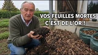 Ne Jetez Plus Jamais Vos Feuilles Mortes Lor Noir Que Tout Le Monde Piétine