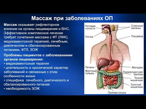 2.22. Массаж при заболеваниях органов пищеварения. Гастрит | Медицинский массаж. Цикл 2