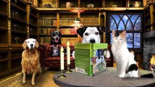 Image Result For Streaming Online Unbrokena Image Result For Streaming Online Unbrokena
