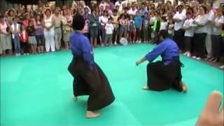 Festa dello Sport esibizione di Ju Jitsu Kobushi