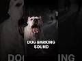 صوت نباح كلب دوجو أرجنتينو كلب حراسة شرس حقيقي