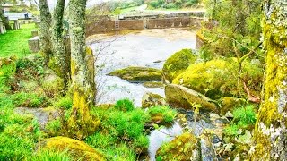 Praias Fluviais de Portugal - Gralheira