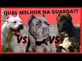 CANE CORSO vs PRESA CANARIO vs DOGO ARGENTINO - Qual o melhor cão de guarda