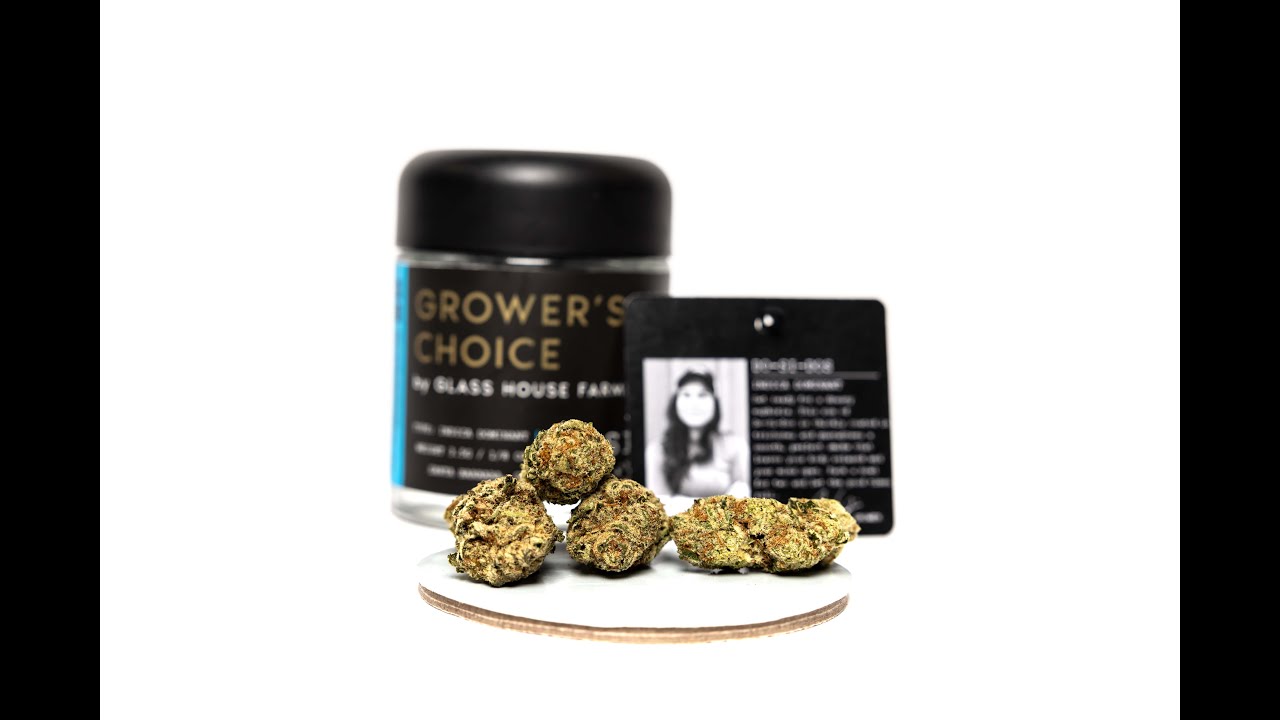 The Do-si-dos Strain Review Featuring Glass House Farms Grower's Choice Craft Cultivator Flower Line