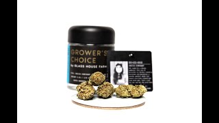 The Do-si-dos Strain Review Featuring Glass House Farms Grower's Choice Craft Cultivator Flower Line