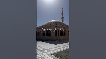 القارئ:عبدالرحمن القحص|سورة: الأنعام،،#تلاوة #تلاوة_خاشعة #قرآن #مصحف #اكسبلور