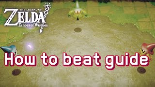 The Legend of Zelda Echoes of Wisdom - Wizzrobe Gathering (Sleep Dojo)