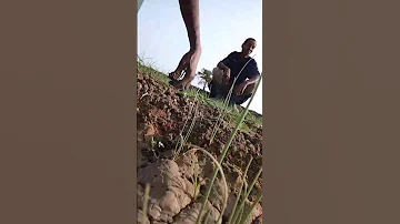 Tunaandaa Hela Ya Mwaka Mpya 