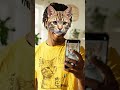 Try This Audio for Views and subscriber #cat #trending #viral #shorts Cat Face #filtertransition