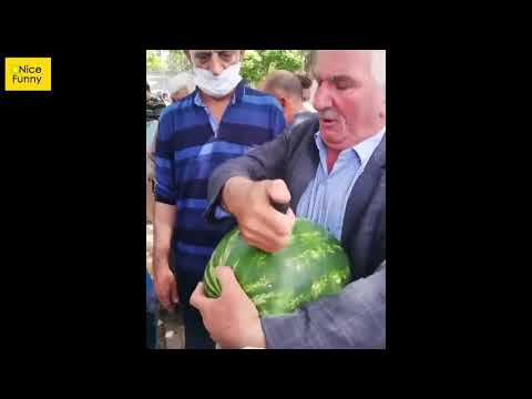 Video: Kırmızı Skimmia Karpuzu