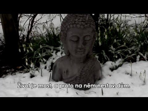Video: Jsou zenové zahrady buddhistické?