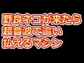 【DQN返し】野良ネコが来たら超音波で追い払えるマシン