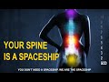 Your Spine is Really a Spaceship