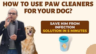 How to use Paw Cleaner for your dog? Safe him from Infection | Baadal Bhandaari