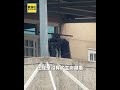 工廠老闆遭捆綁打死陳屍家中 兒發現報警 @newsebc #shorts