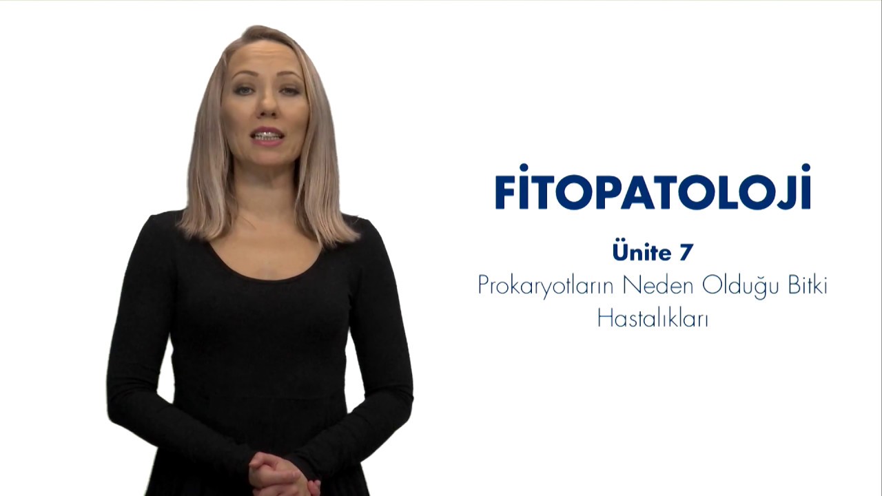 Aktinomikler Ve Bakteri Arasindaki Fark 2021 Haber