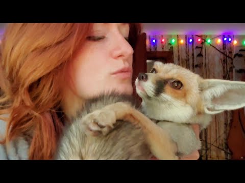 Fawzi Fox doesn't want the kisses