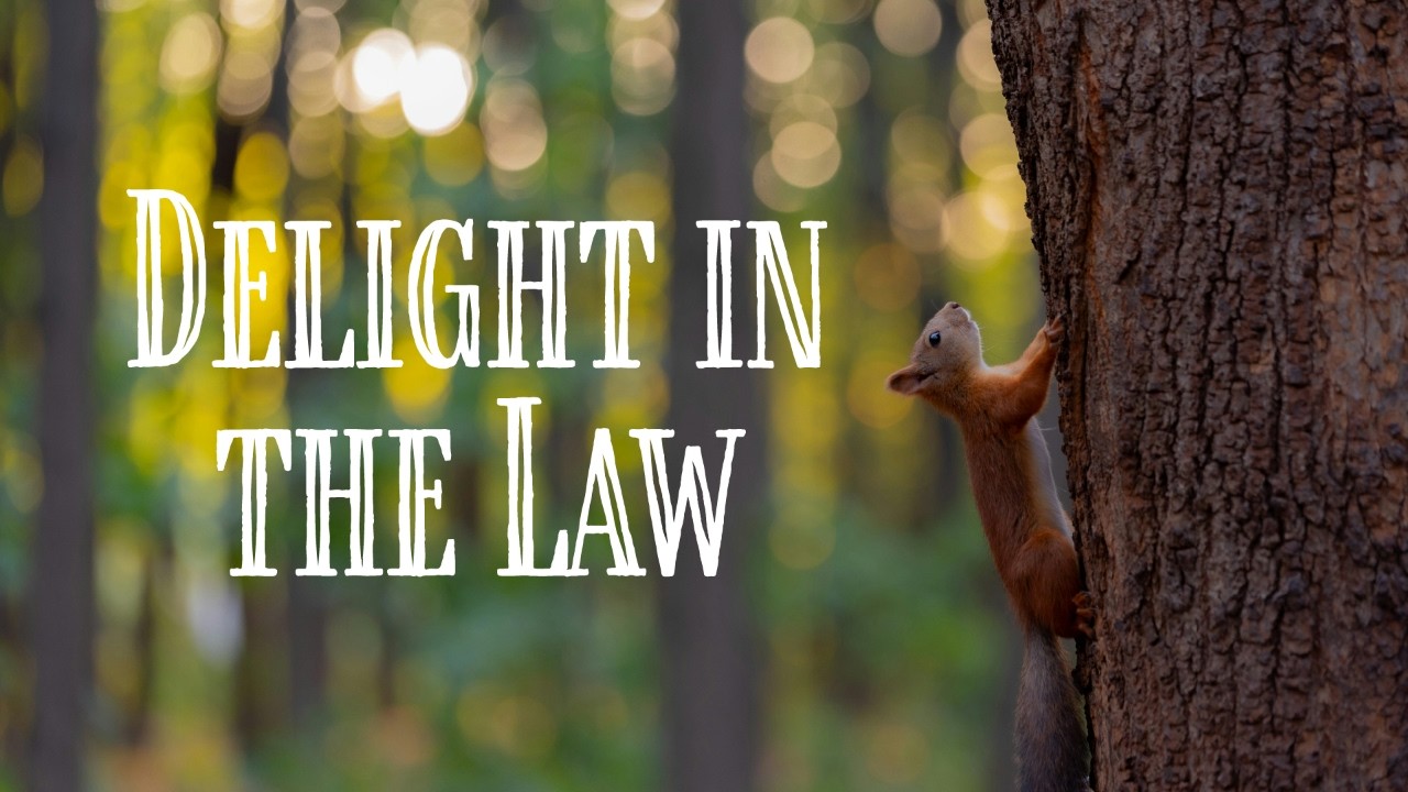 Delight in the Law - 07/02/2026 - UMC Juneau