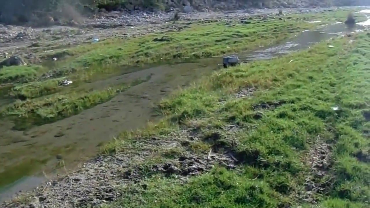 وادي البجرية