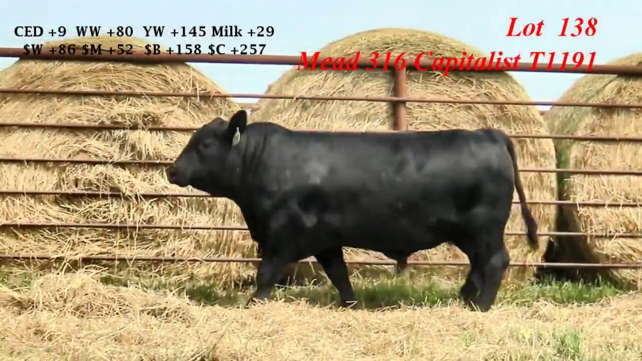 Mead Farms Lot 138 YouTube