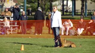 2014PSA Part9