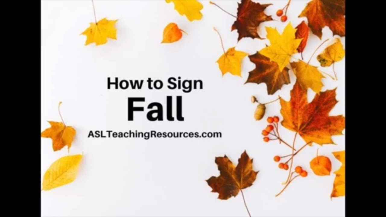 Learn How to Sign the Word Fall - YouTube