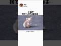 子猫が捨てられた理由は…