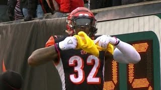 Hill Abuses a Terrible Towel Bengals running back Jeremy Hill tried to rip up a Steelers Terribl