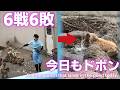 【パンチくん日記🐵】これで6戦6敗パンチタイム😣今日も暑いせいか池で『押すなよ、押すなよ！』のダチョウ倶楽部のコントを繰り広げるパンチ_市川市動植物【Punch's Diary_7/12】