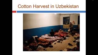 Findings on the 2018 Cotton Harvests in Uzbekistan and Turkmenistan