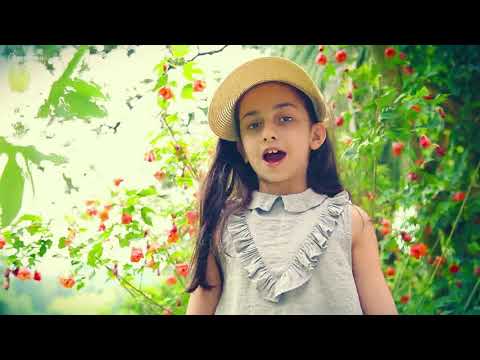 ზაფხულია ზაფხულია