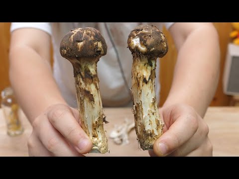 쭉쭉 찢어서 먹었는데 향이..ㄷㄷ