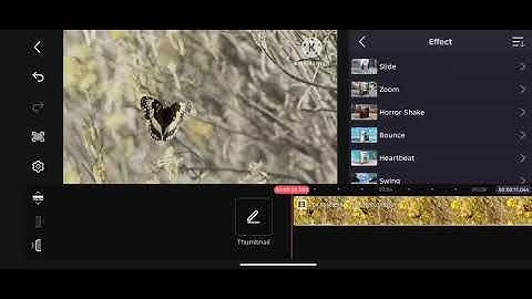 How to Apply Video Filters and Effects in KineMaster 2025?