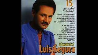Luis Segura Sin Ti