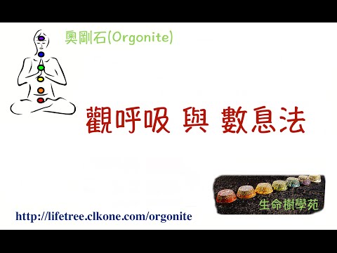 觀呼吸與數息法-生命樹學苑