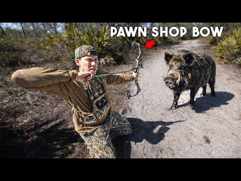 Pawn Shop Bow Vs Wild Hog… Bad Idea??