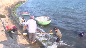 Quảng Ngãi: Đảo Lý Sơn nói không với rác thải nhựa