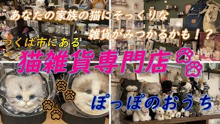 【ぽっぽのおうち】猫を愛するオーナーさんがいる種類が豊富な猫雑貨専門店