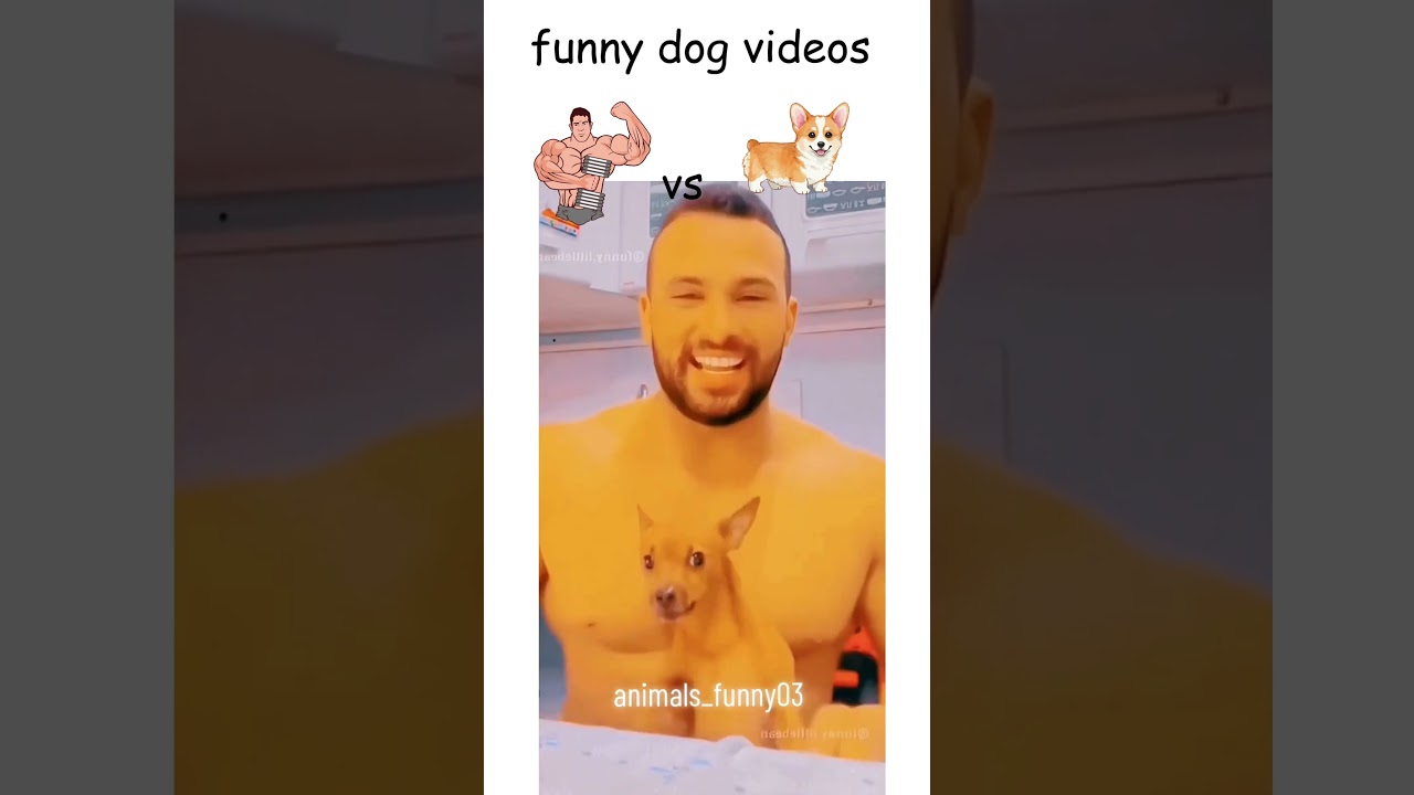 human vs dog #pets #prank #funny #virul